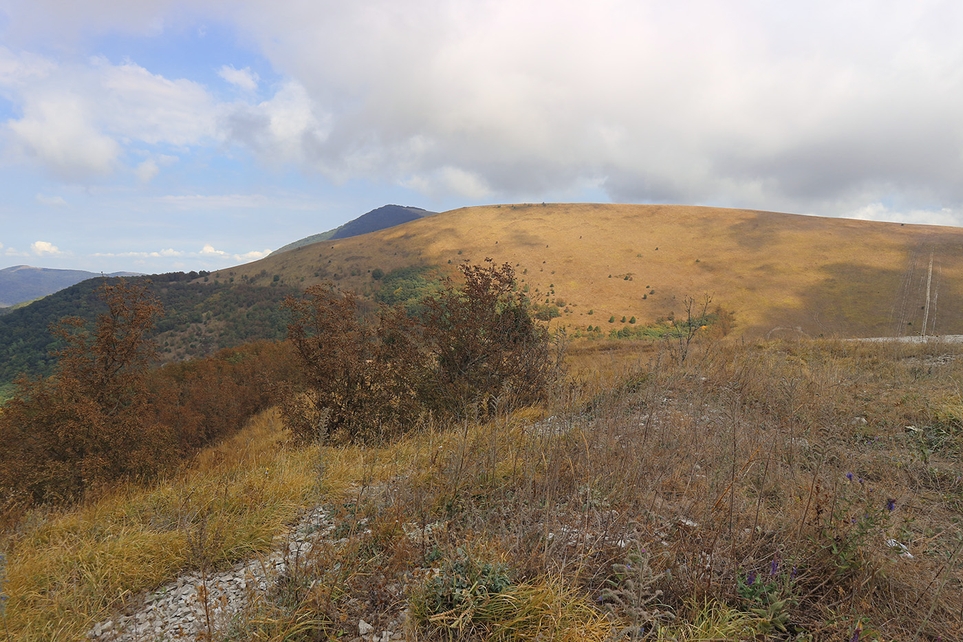 Кабардинский перевал, image of landscape/habitat.