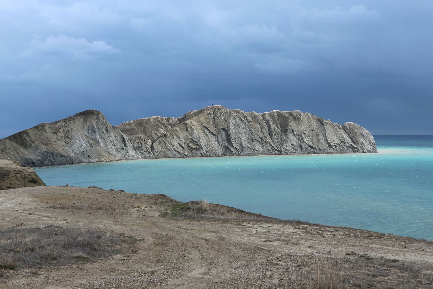 Хамелеон, image of landscape/habitat.