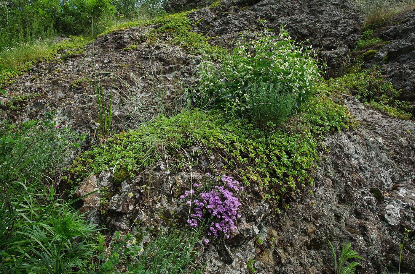 Крыктытау, image of landscape/habitat.