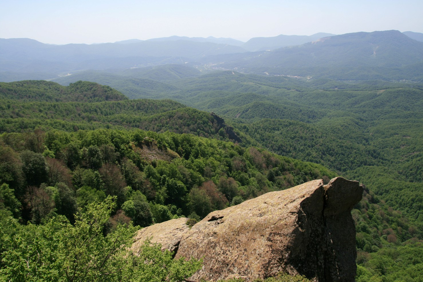 Скальный останец Зуб, image of landscape/habitat.