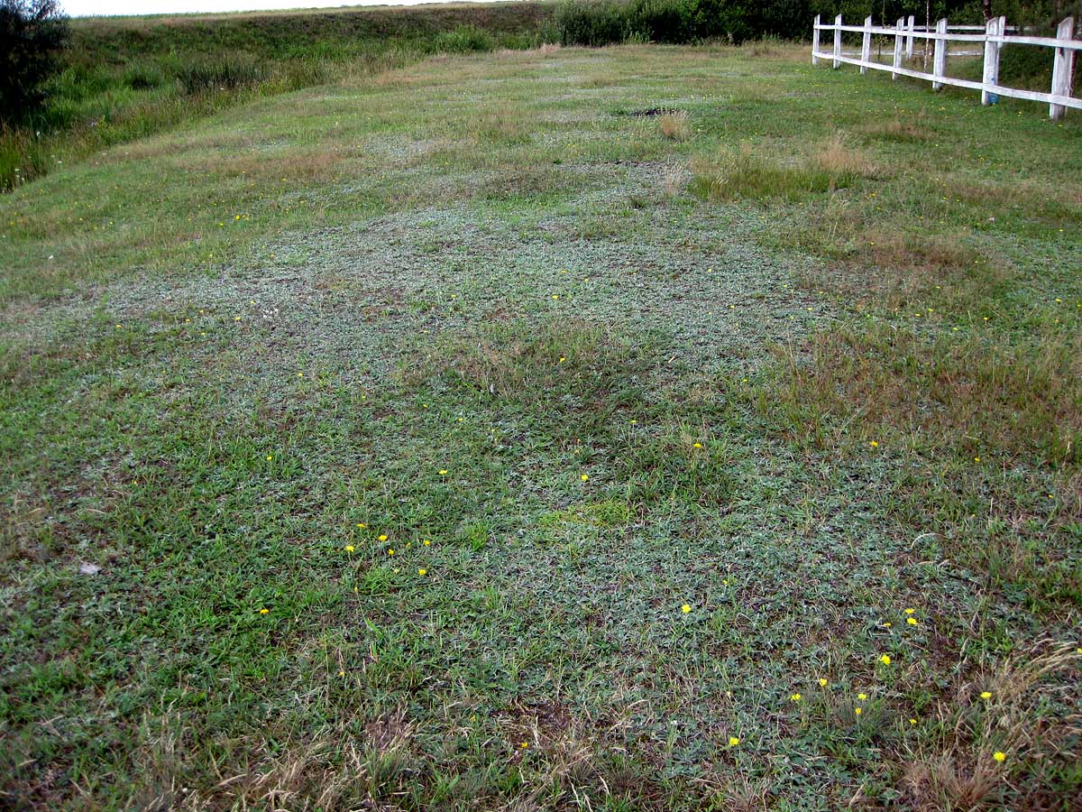 Озеро Стрибуж, image of landscape/habitat.