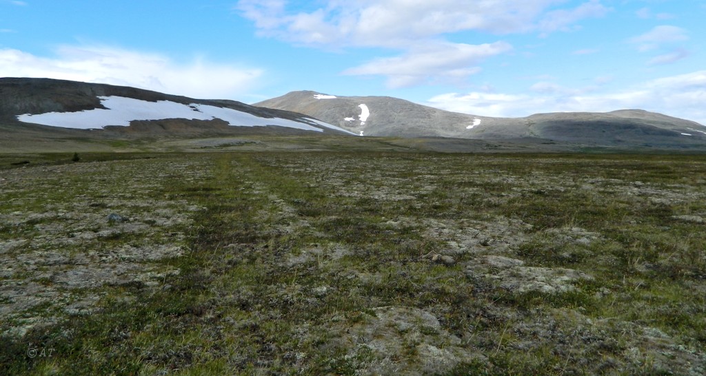 Кершор, image of landscape/habitat.