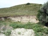 Image of landscape