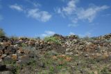 Эль Котильо и окрестности, image of landscape/habitat.