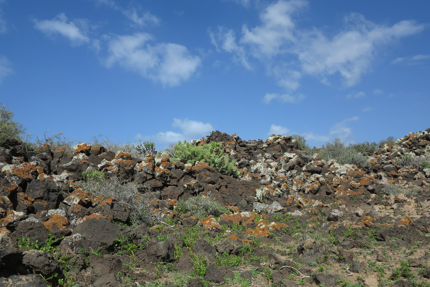 Эль Котильо и окрестности, image of landscape/habitat.