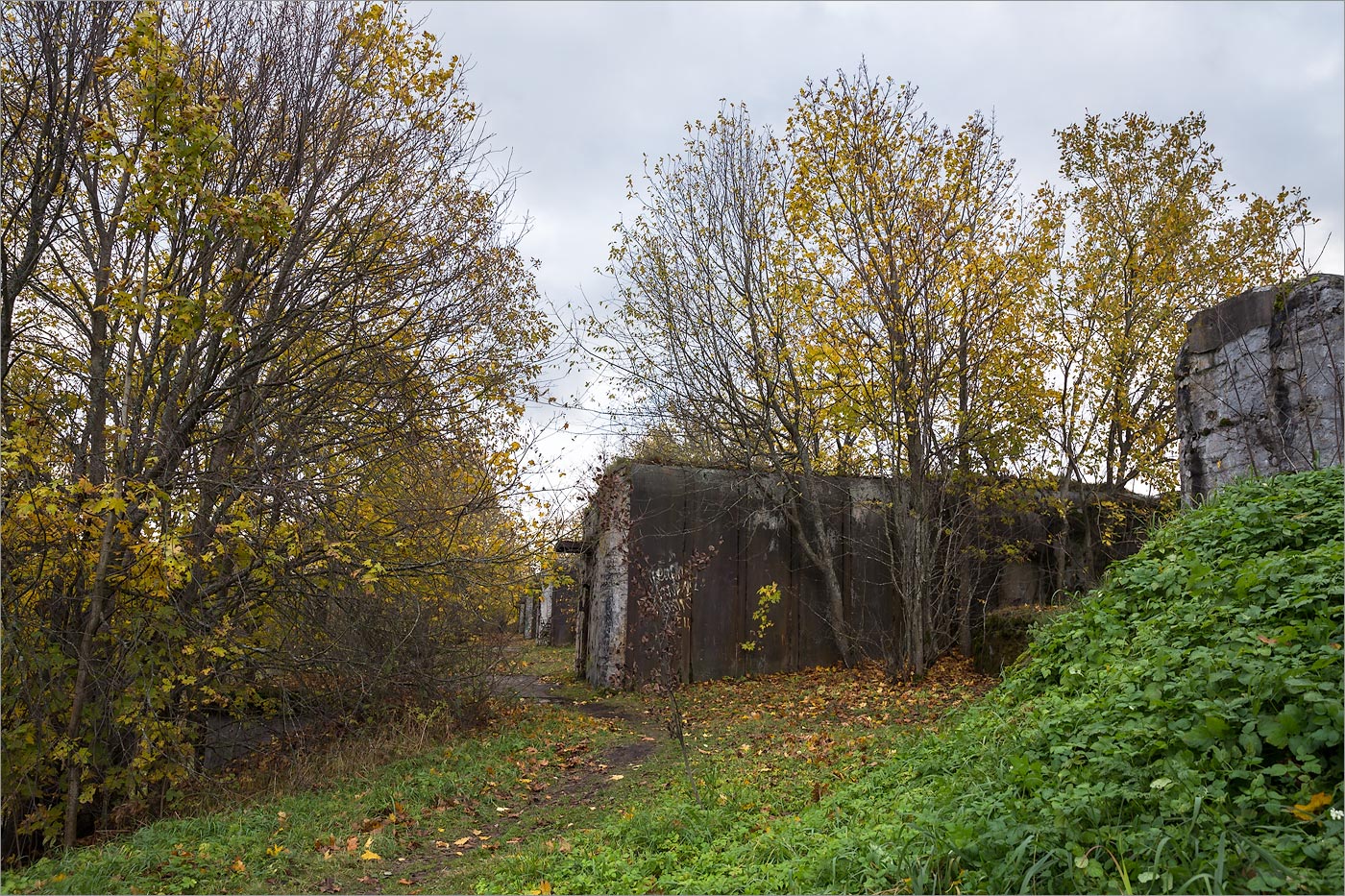 Западный Котлин, image of landscape/habitat.