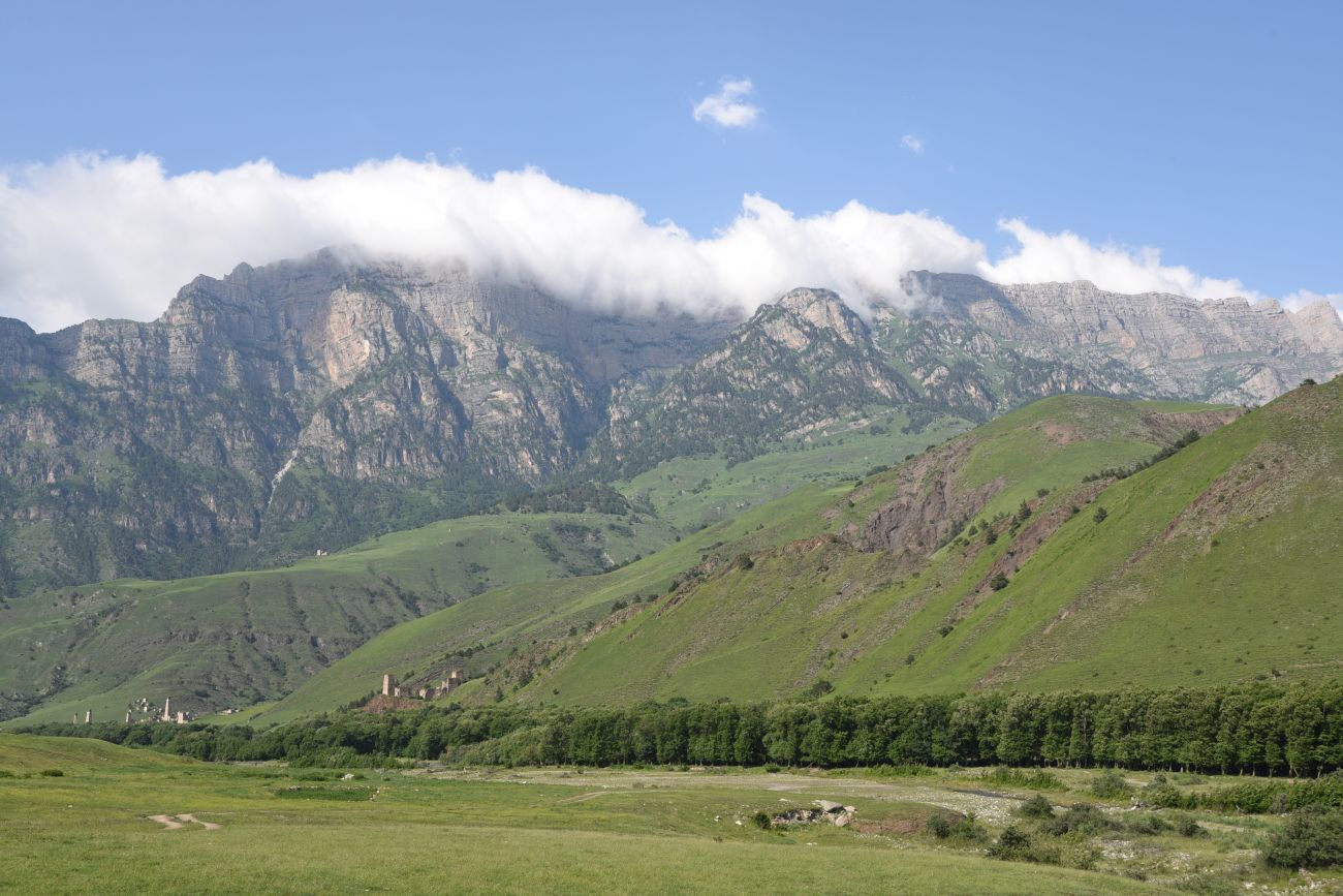 Окрестности урочища Исмаил-Ков, image of landscape/habitat.