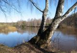 Селище, image of landscape/habitat.