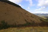 Гора Безумная, image of landscape/habitat.