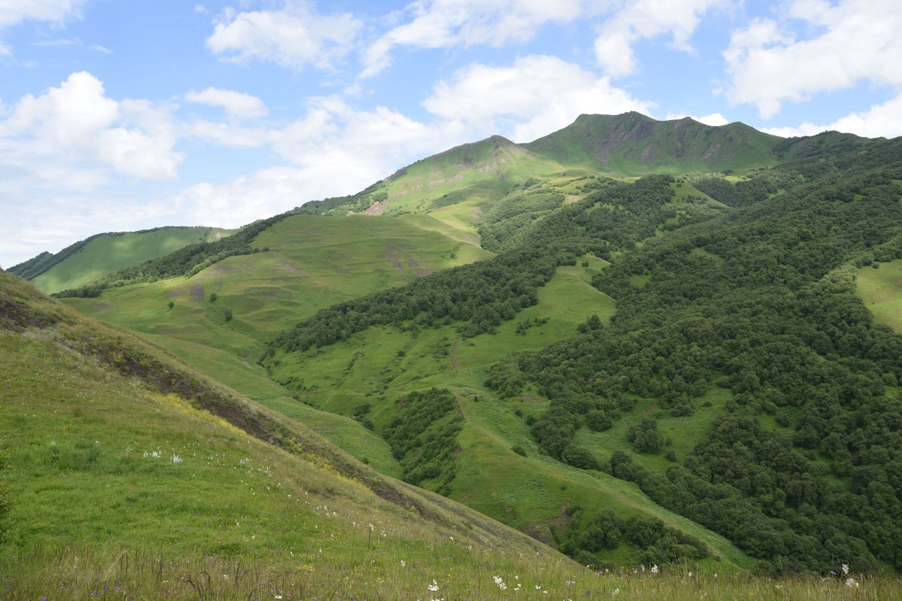 Сигнальная гора, изображение ландшафта.