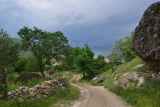 Image of landscape