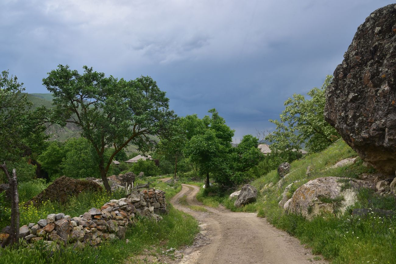Окрестности села Тмогви, image of landscape/habitat.