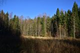 Image of landscape