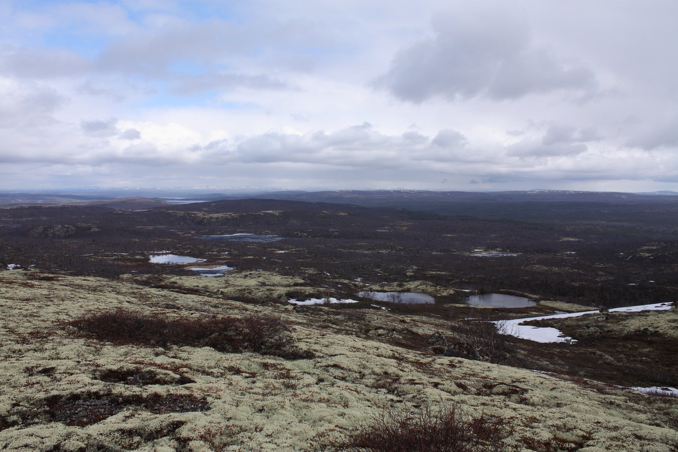 Могильный Ров, image of landscape/habitat.