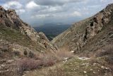 Image of landscape