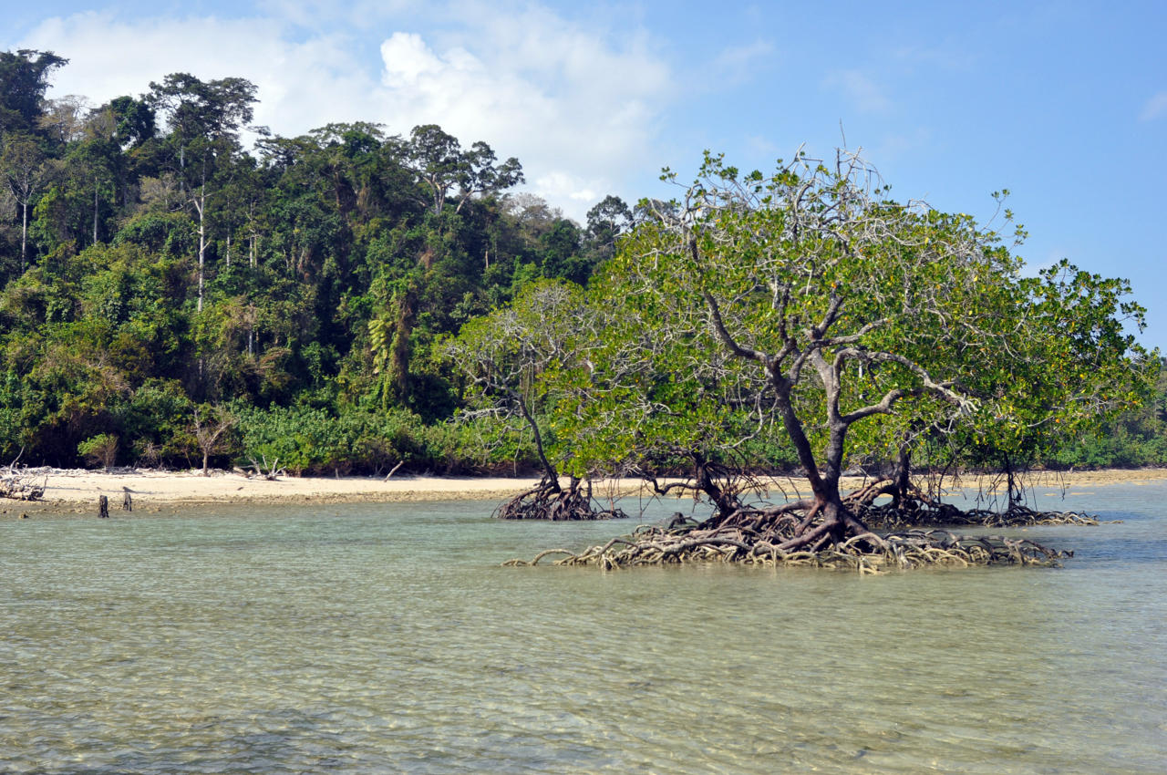 Остров Лонг, изображение ландшафта.