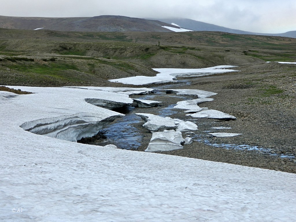 Кершор, image of landscape/habitat.