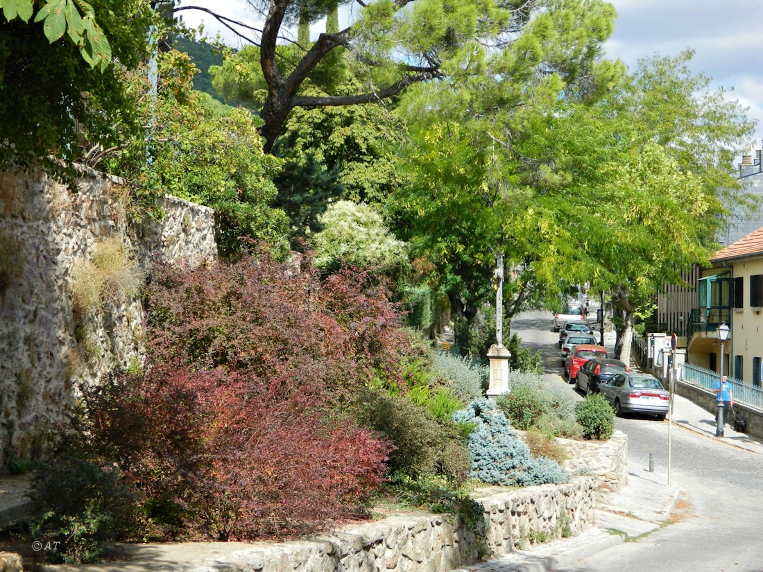 San Lorenzo de El Escorial, image of landscape/habitat.