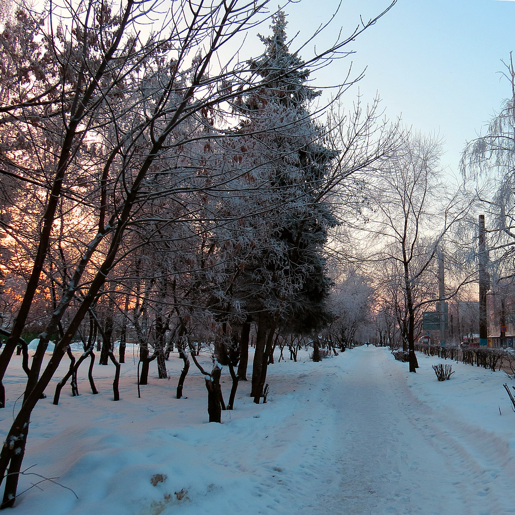 Верхняя Терраса и окрестности, изображение ландшафта.