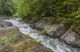 Киша в нижнем течении, image of landscape/habitat.