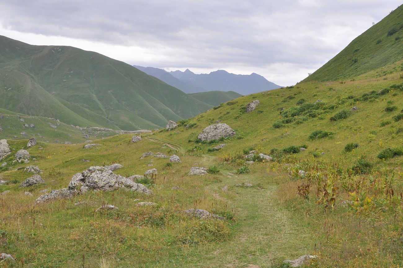 Долина реки Вулелаури, image of landscape/habitat.