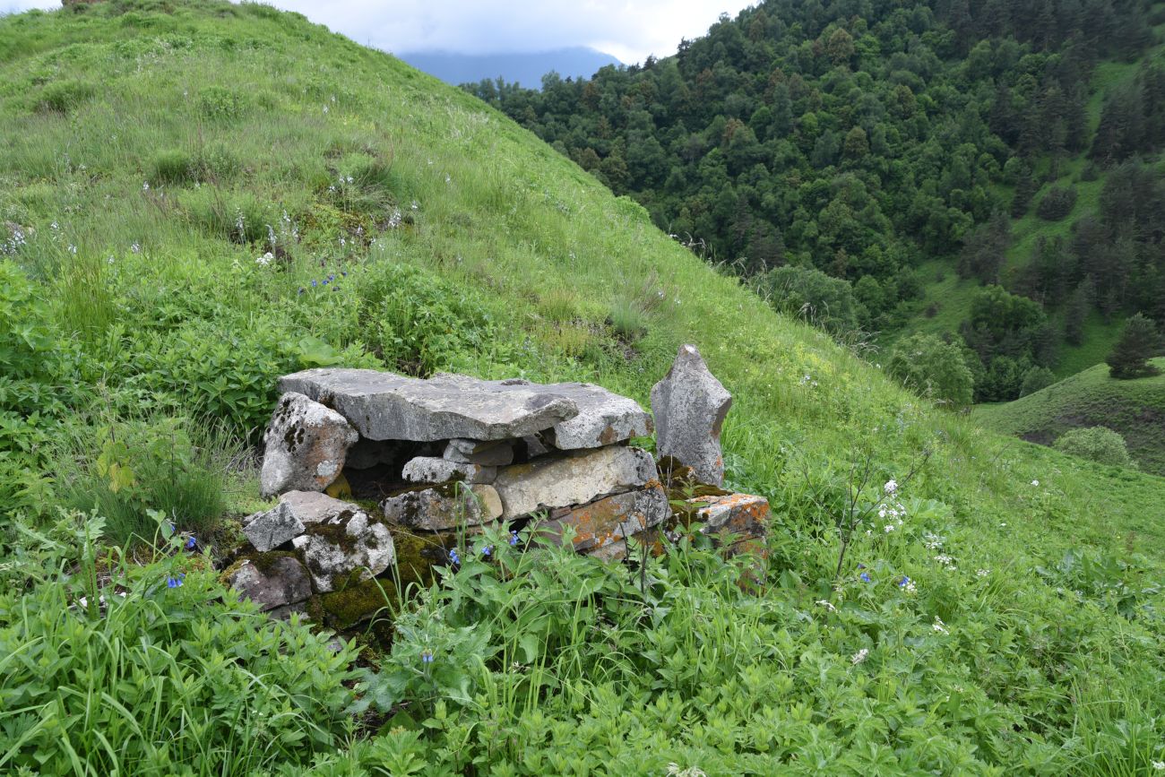 Окрестности урочища Кашети, image of landscape/habitat.