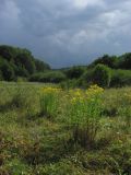 Долгоруковская яйла, image of landscape/habitat.