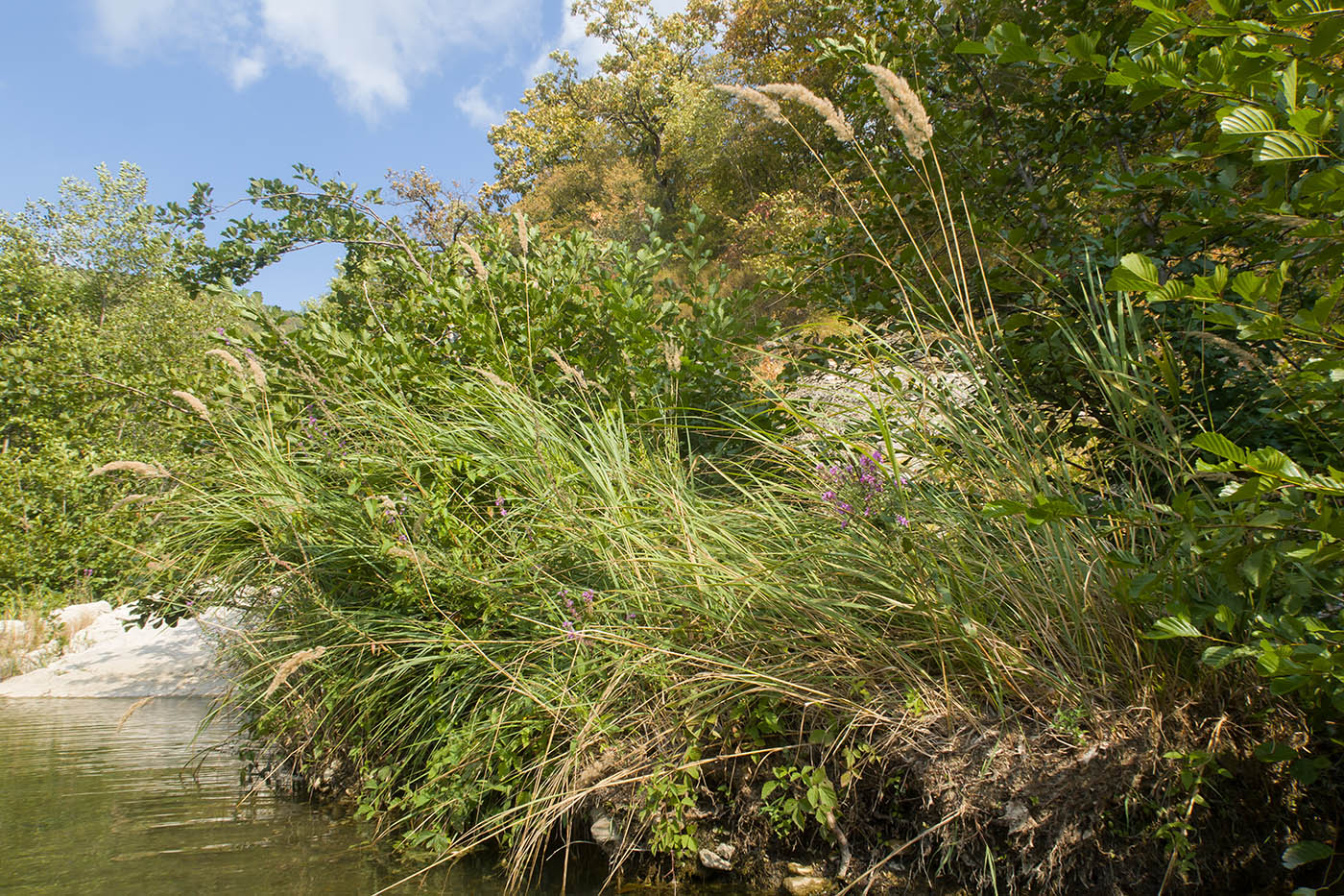Плачущая скала, image of landscape/habitat.