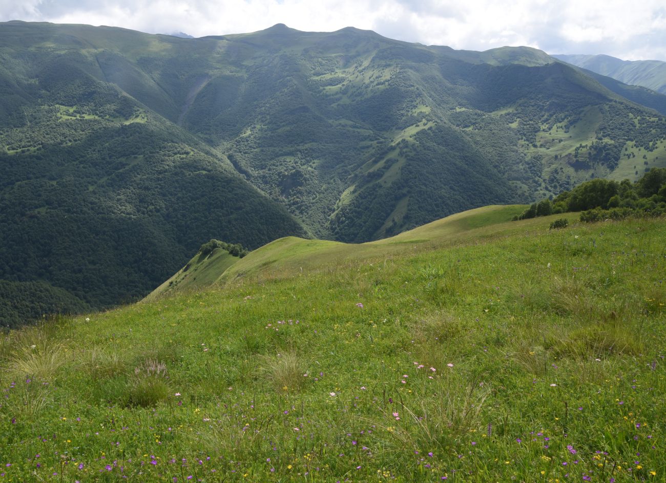 Хиндушты, изображение ландшафта.