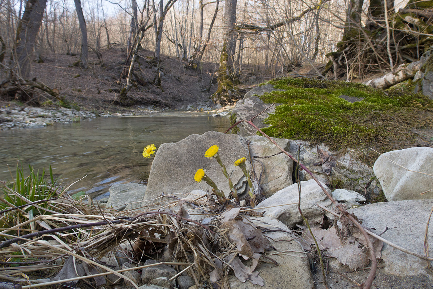 Темрючки, image of landscape/habitat.