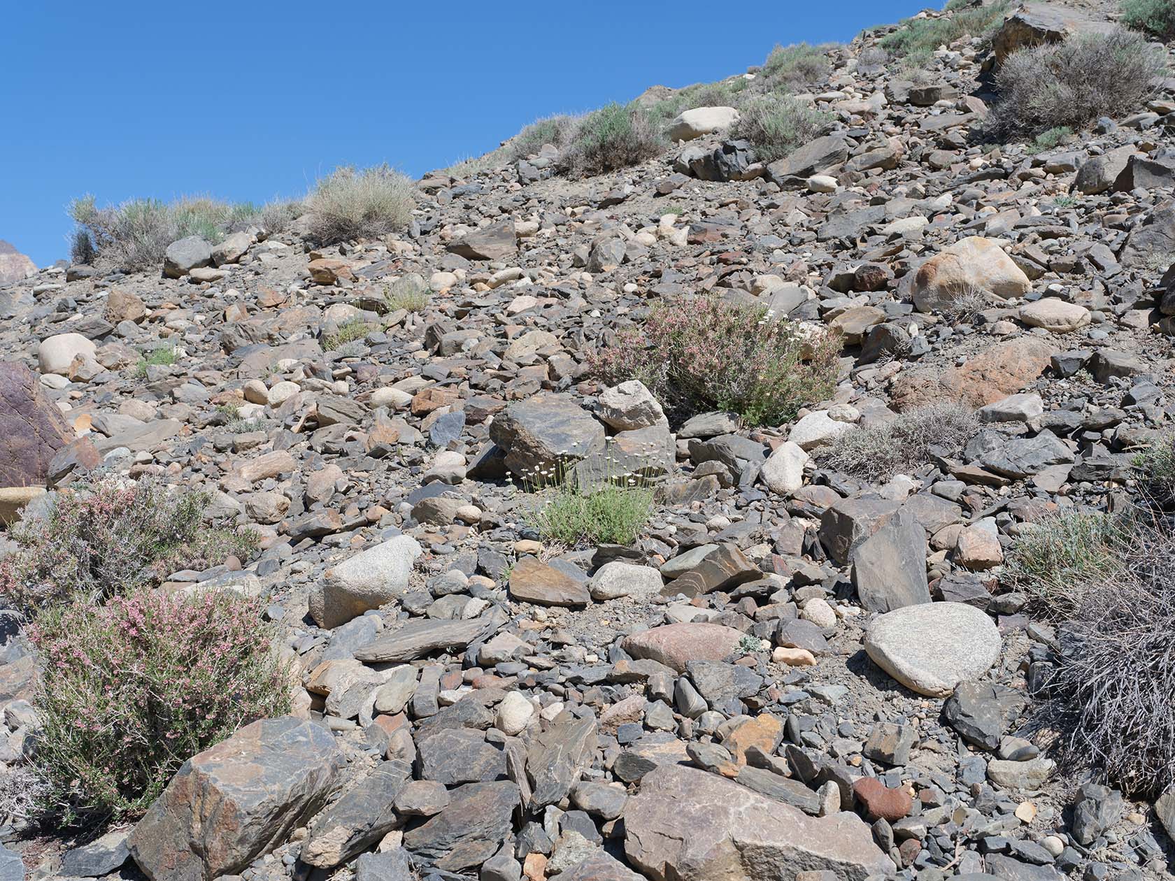 Усойский завал, image of landscape/habitat.