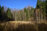 Image of landscape