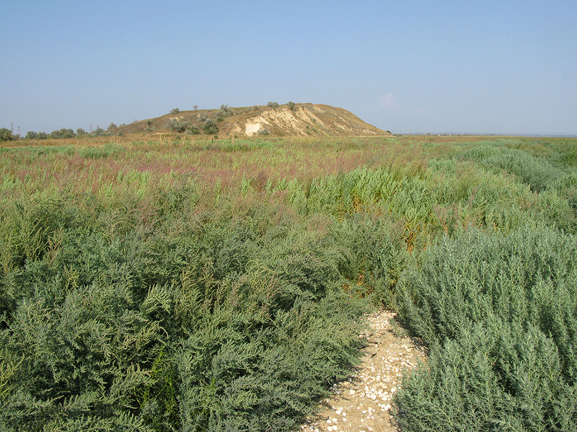 Витязевский лиман, image of landscape/habitat.