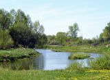 Борисоглебский, image of landscape/habitat.