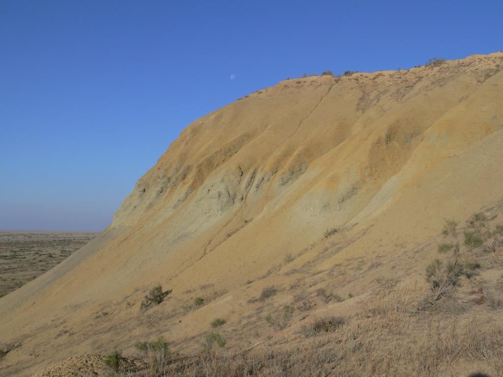 Барсакельмес, image of landscape/habitat.