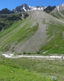 Image of landscape