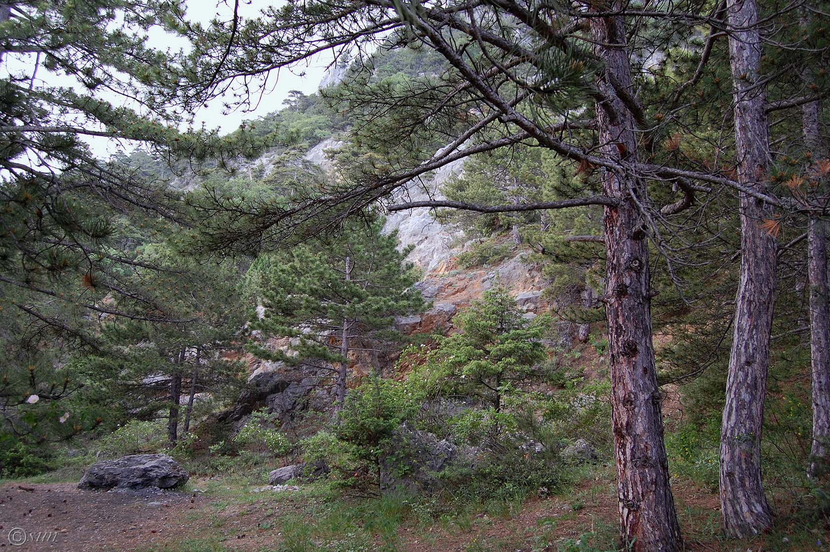 Никитская расселина, image of landscape/habitat.