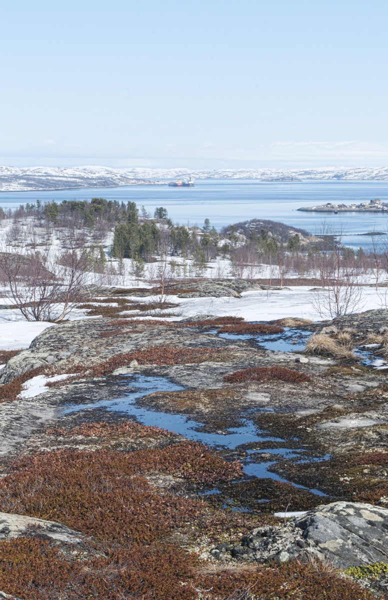 Окрестности посёлка Росляково, image of landscape/habitat.