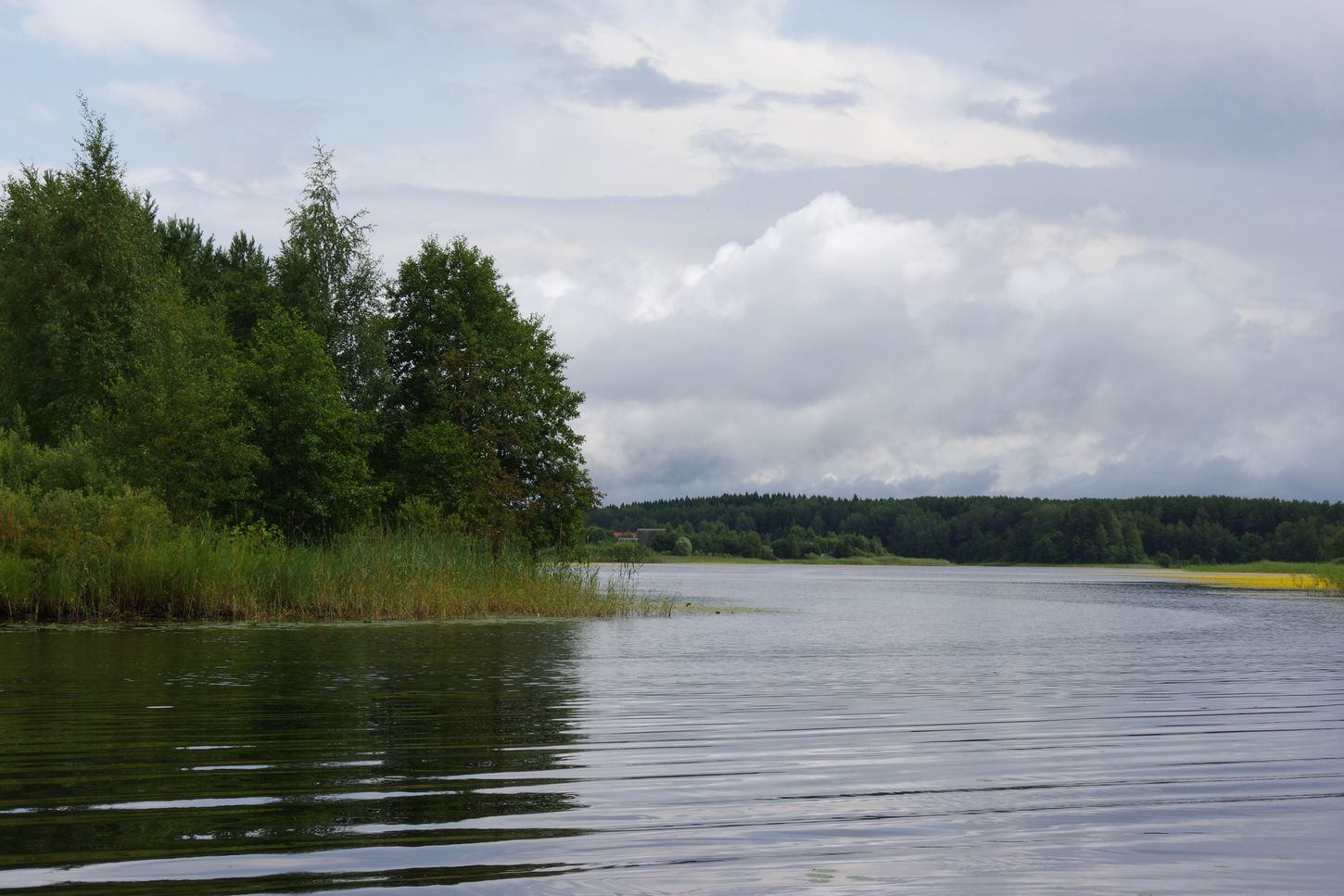 Река Полоновка, изображение ландшафта.