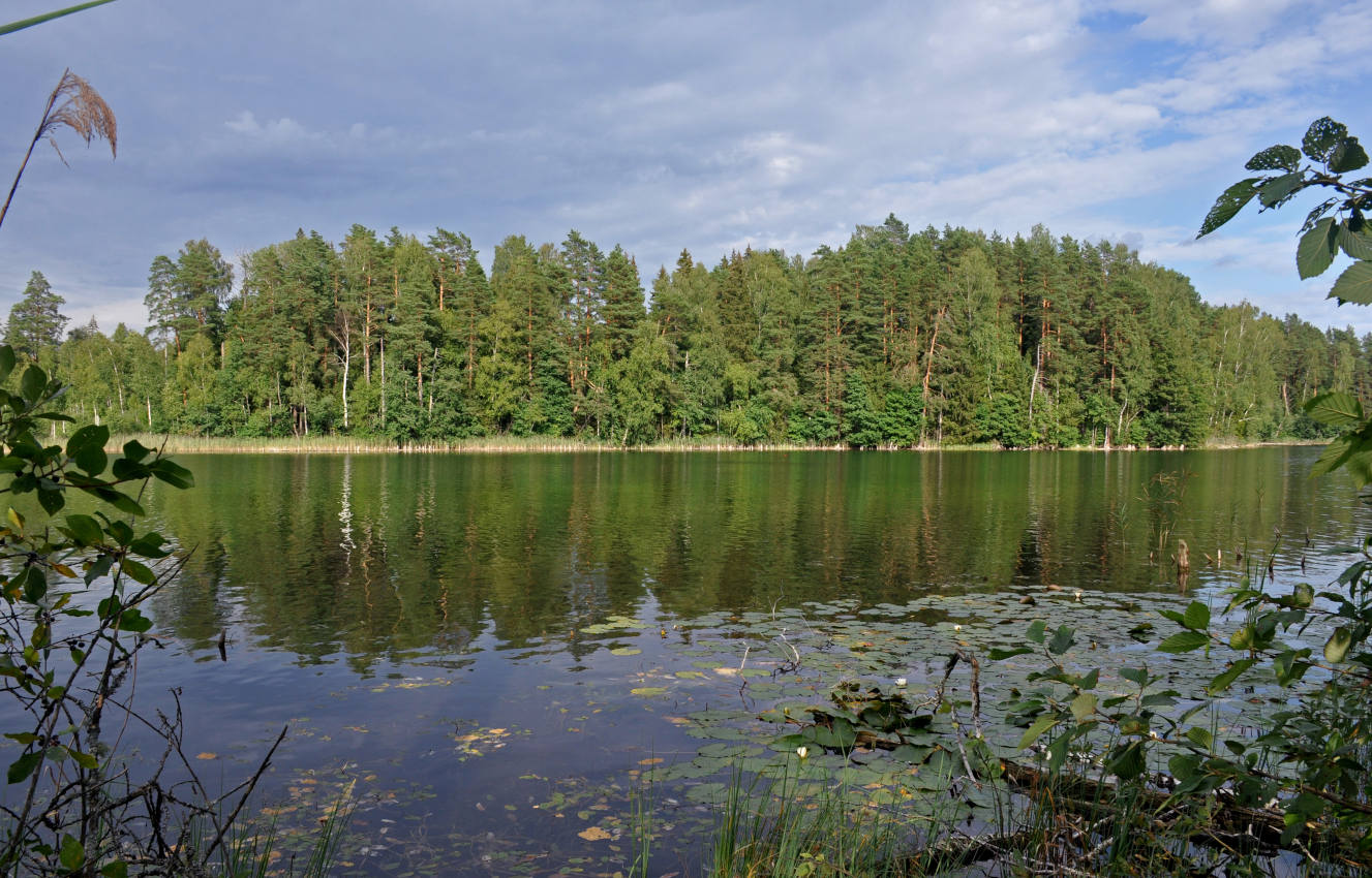 Озеро Чистик, изображение ландшафта.