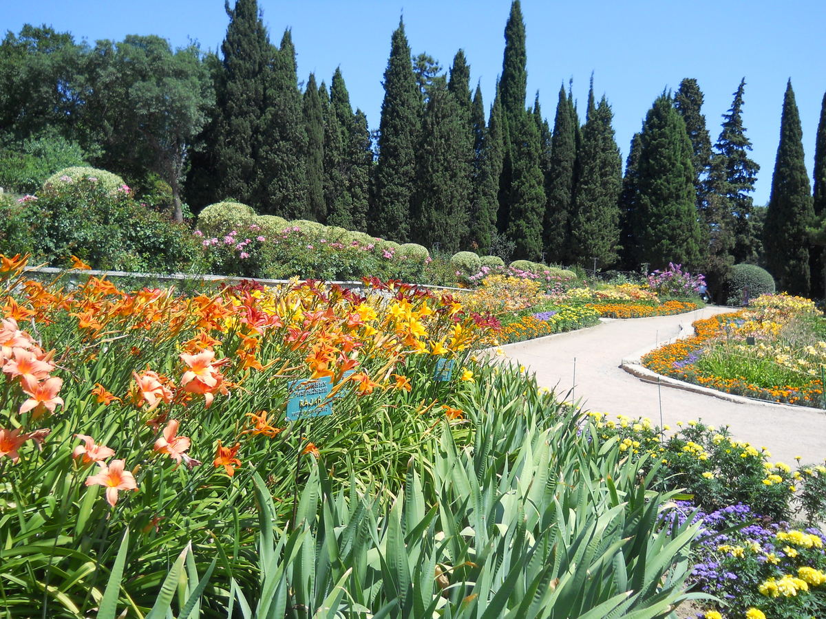 Никитский ботанический сад, image of landscape/habitat.