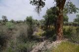 Image of landscape