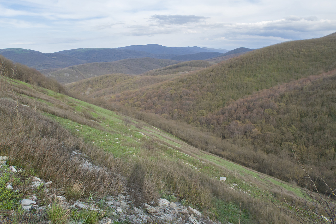 Гора Лысая-Новороссийская, image of landscape/habitat.