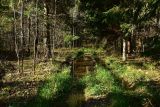 Image of landscape