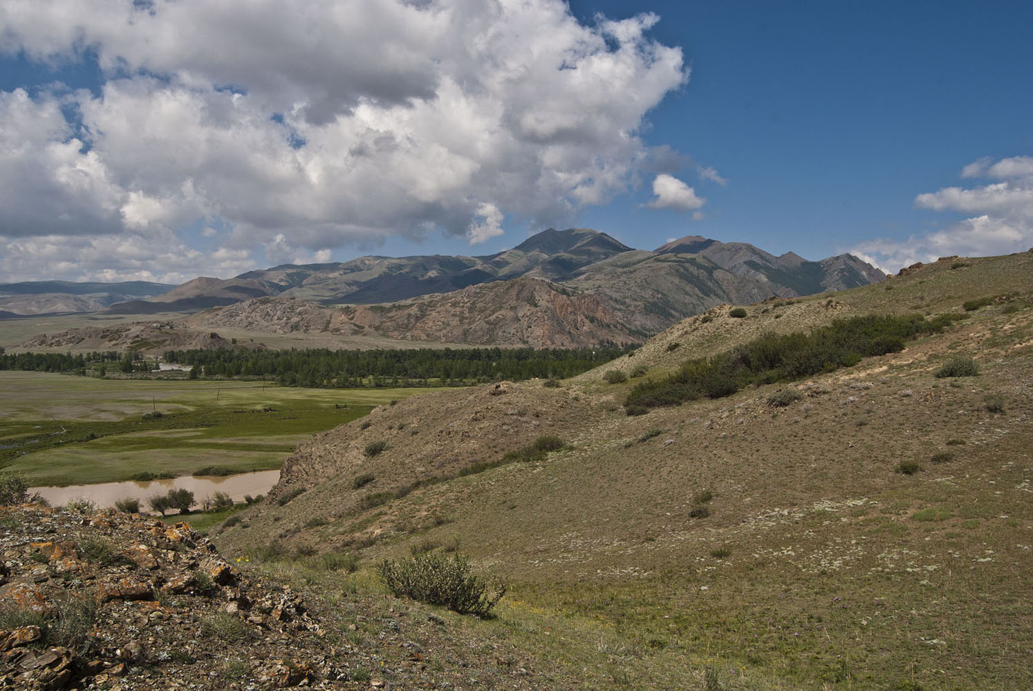 Чуйская степь, image of landscape/habitat.