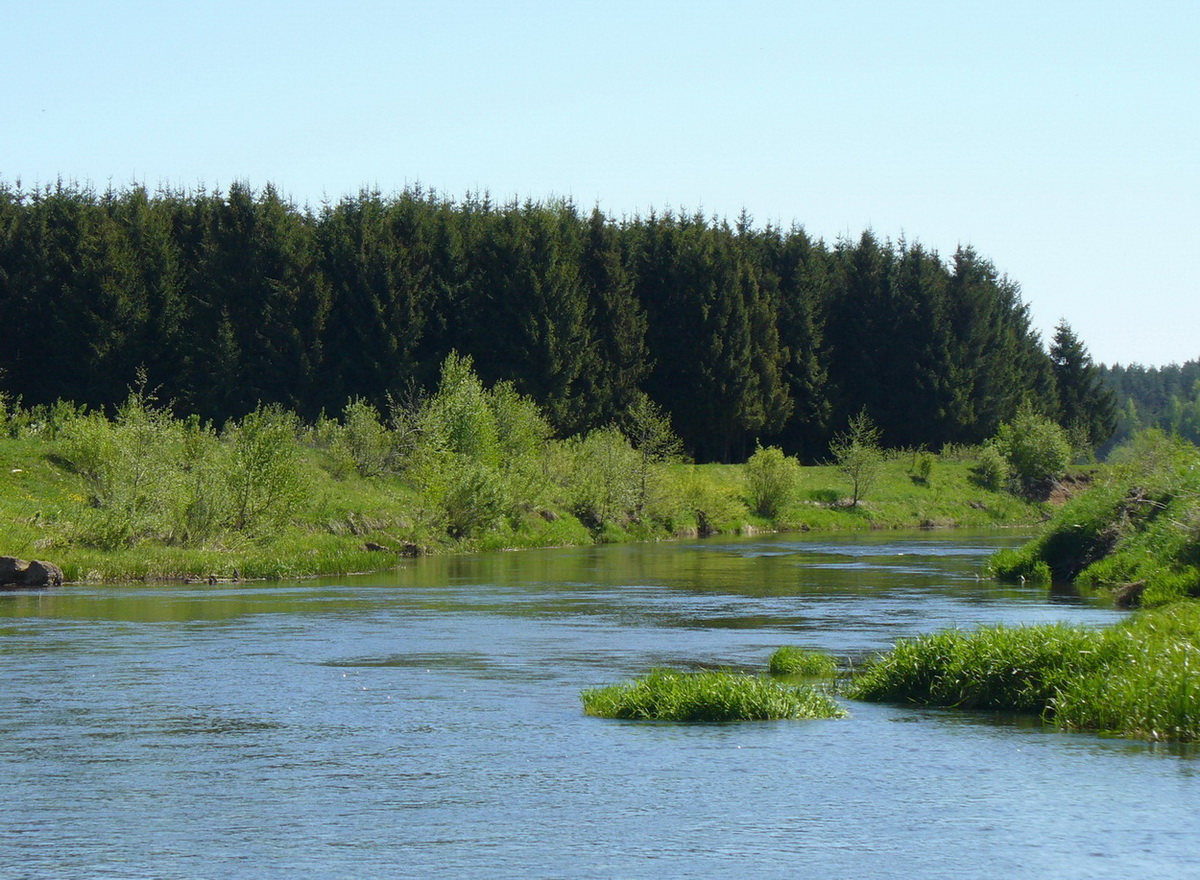 Борисоглебский, image of landscape/habitat.