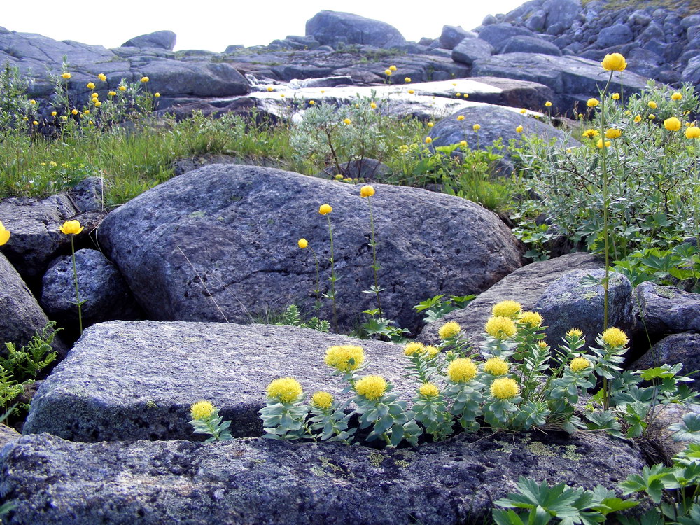 Туманный, image of landscape/habitat.