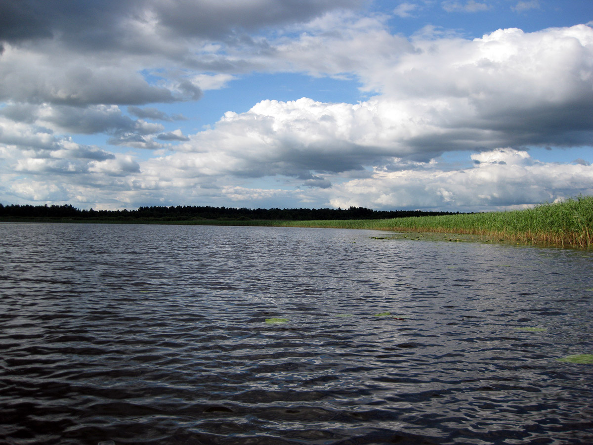 Озеро Стрибуж, image of landscape/habitat.
