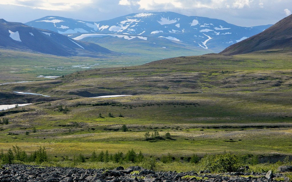 Кершор, image of landscape/habitat.