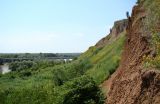 Image of landscape
